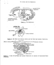 The Astral Projection Files: CIA LEAKED REPORT + 'PAGE .25'